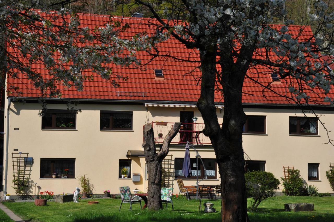 Ferienwohnung An Der Elbe Stadt Wehlen Exterior photo